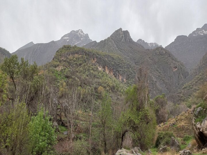 کوهپیمایی کوهپیمایی