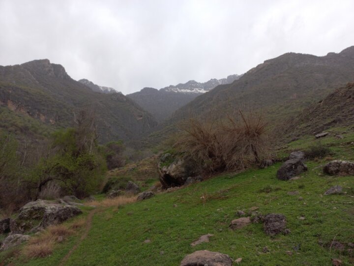 کوهپیمایی کوهپیمایی