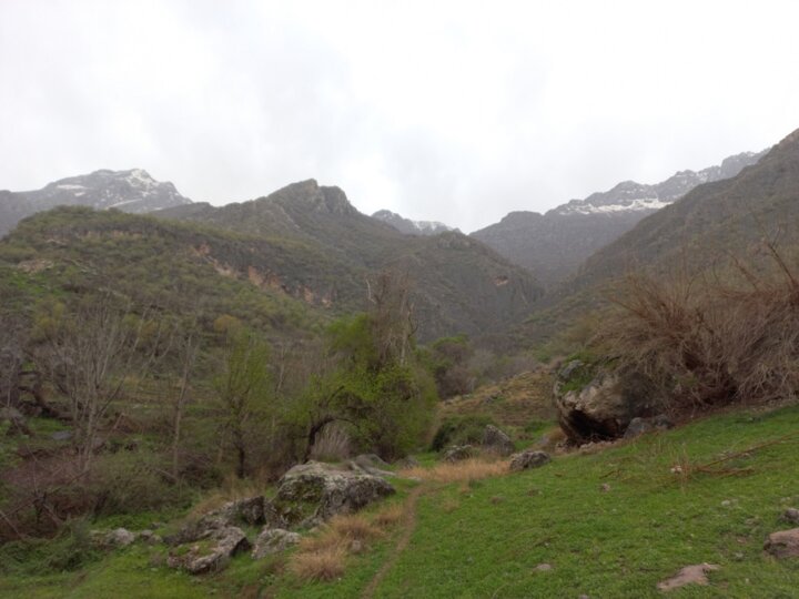 کوهپیمایی کوهپیمایی