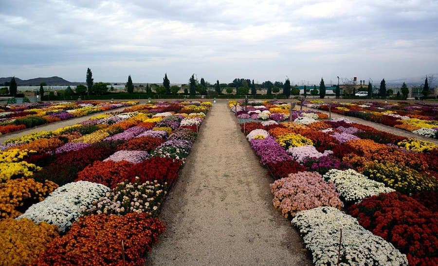 سیری در محلات سیری در محلات