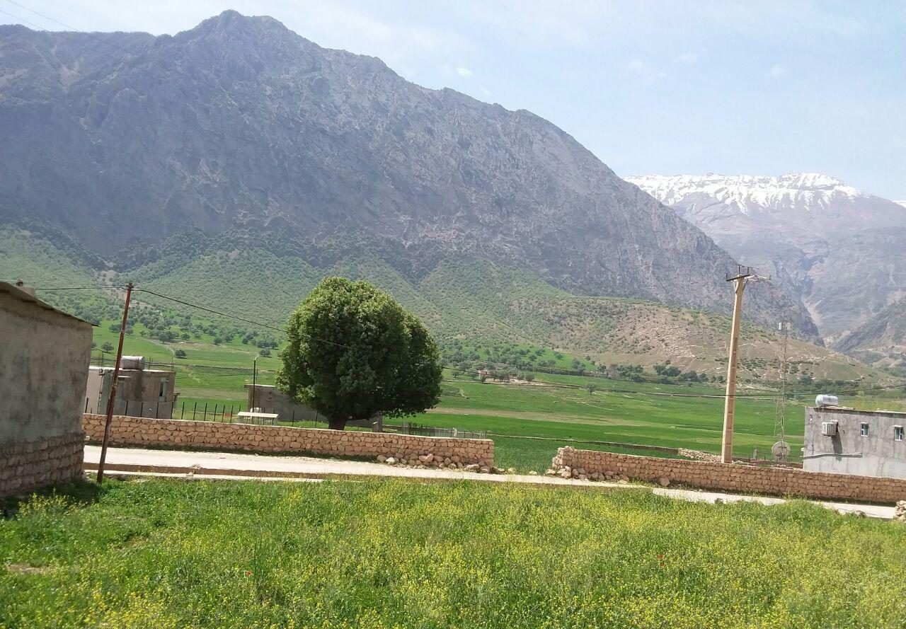 سیری در آبادان سیری در آبادان