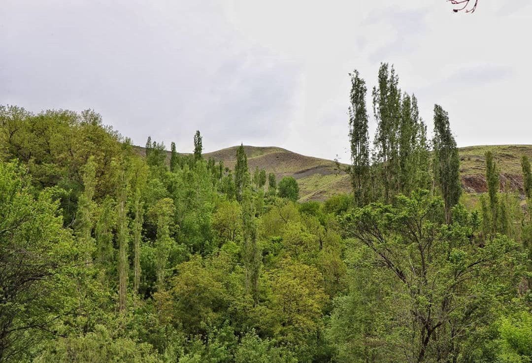 روستای کردینه طرقبه