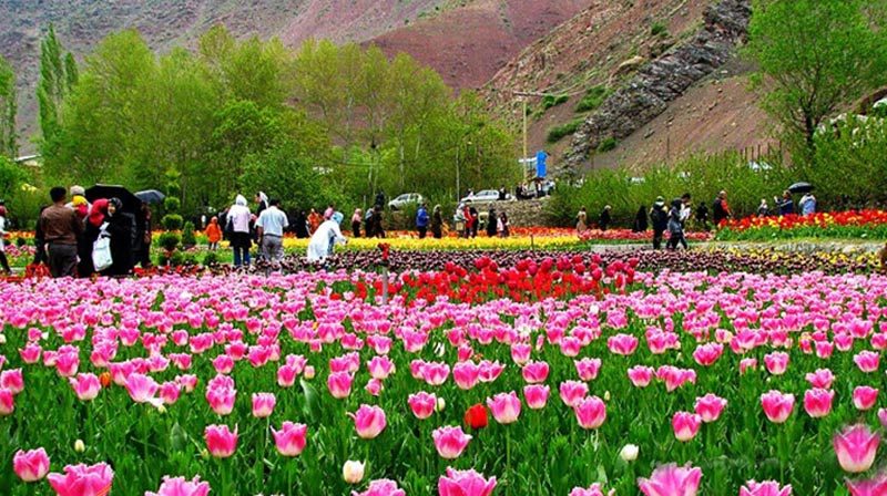 سیری در محلات سیری در محلات