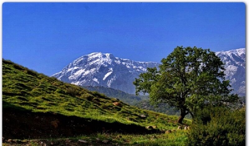کوهپیمایی