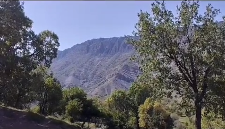 کوله ناو دلفان