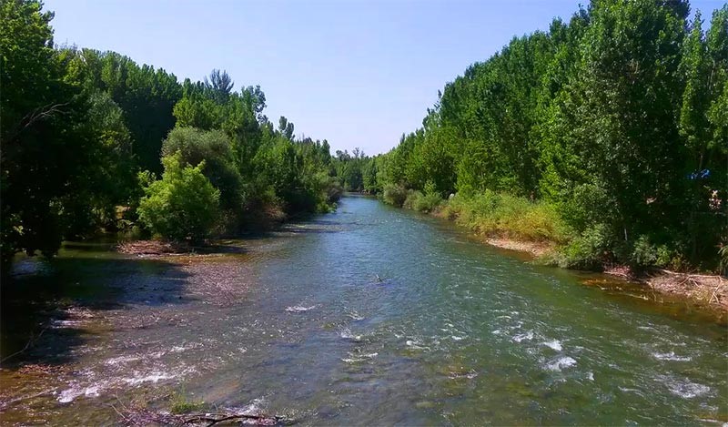 باغ بهادران باغ بهادران