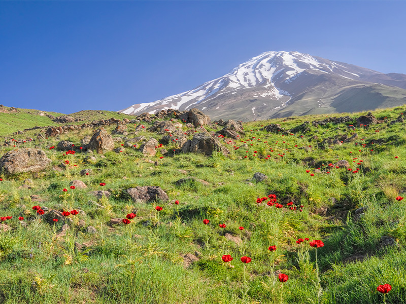 شهرهای نزدیک تهران شهرهای نزدیک تهران