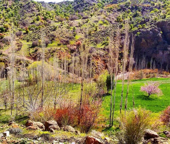 کویر لوت کویر لوت