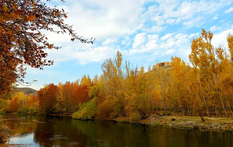 باغ بهادران