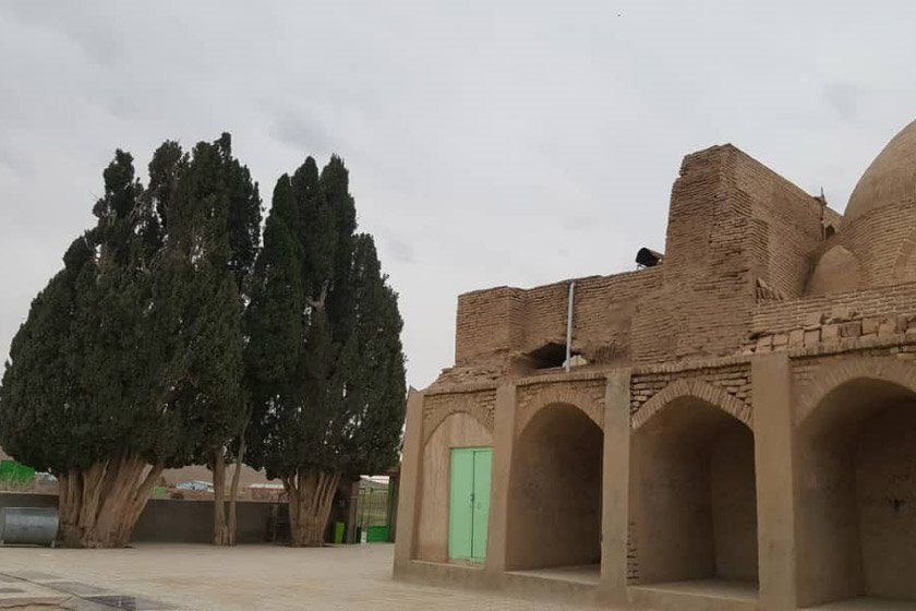 درختان سرو امامزاده درختان سرو امامزاده