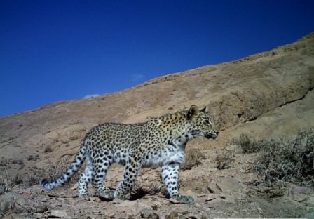 منطقه حفاظت شده جنگل خواجه منطقه حفاظت شده جنگل خواجه
