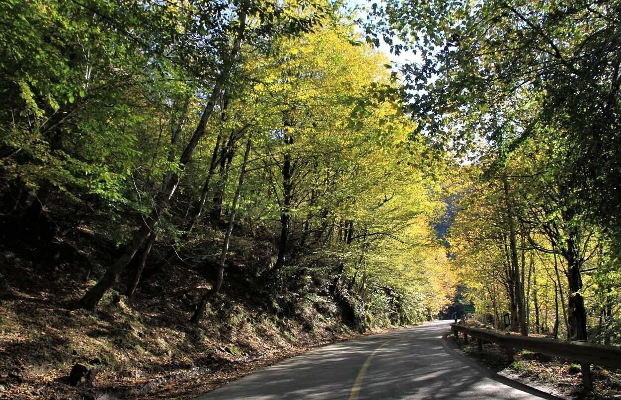 طبیعت‌ درمانی