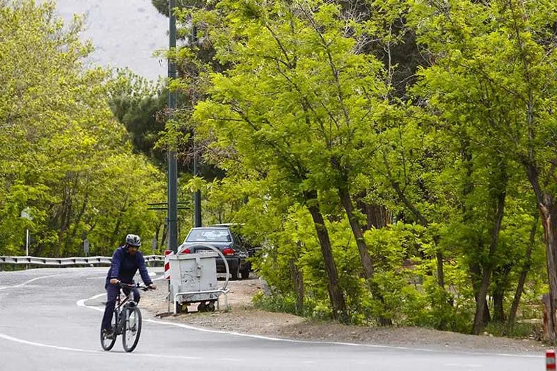 پارک جنگلی های تهران پارک جنگلی های تهران