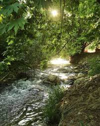 طبیعت بهرغان طبیعت بهرغان