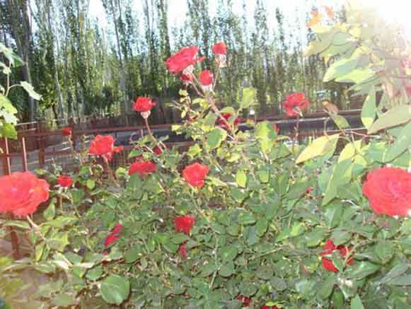 منطقه گردشگری قندآب