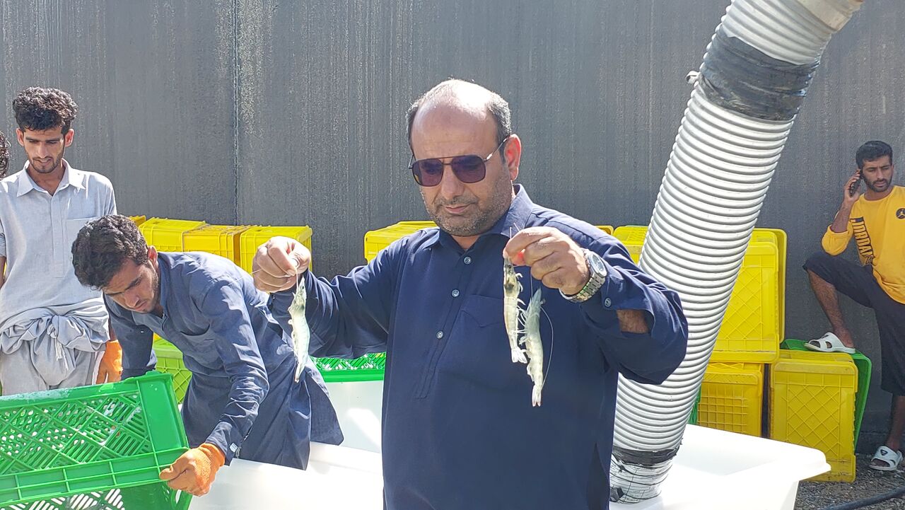مکران