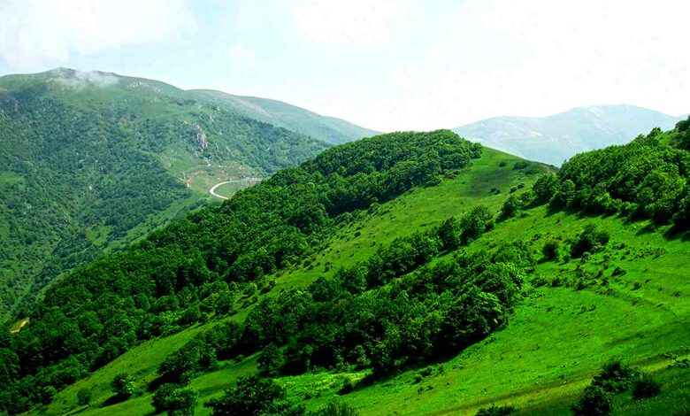 کمپینگ تابستانی