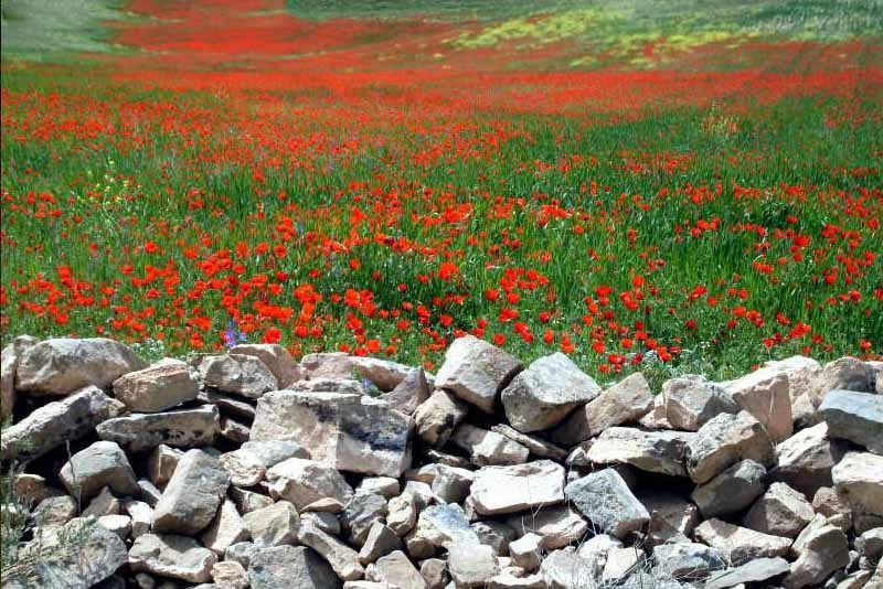 روستای اماموردیخان قوچان