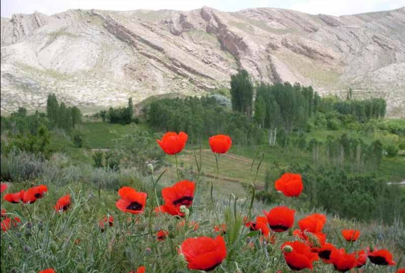 منطقه گردشگری سلطان زیرابه منطقه گردشگری سلطان زیرابه