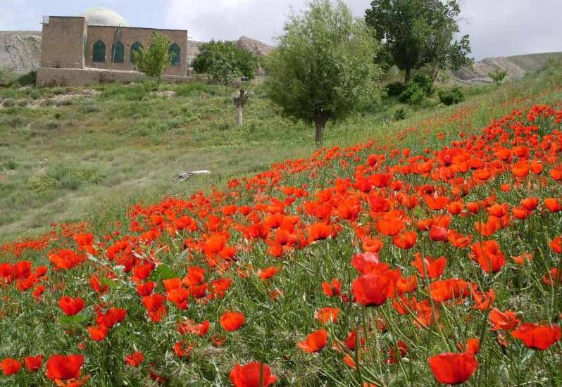 منطقه گردشگری سلطان زیرابه منطقه گردشگری سلطان زیرابه