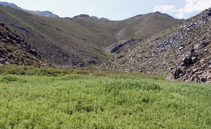 روستای همگین دهاقان روستای همگین دهاقان