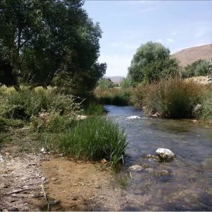 روستای همگین دهاقان روستای همگین دهاقان