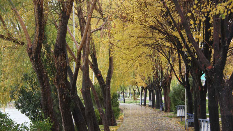 پارک ساحلی زرین شهر