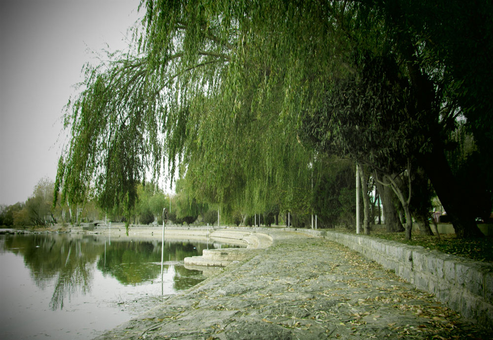 پارک ساحلی زرین شهر