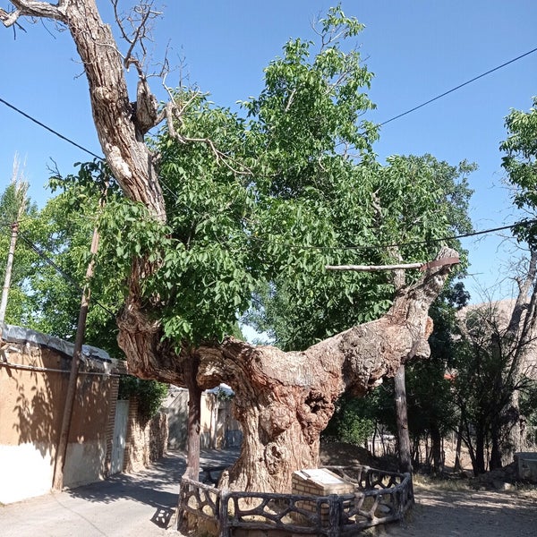 جاهای دیدنی مهدیشهر جاهای دیدنی مهدیشهر