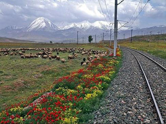 دشت شقایق های جلفا دشت شقایق های جلفا