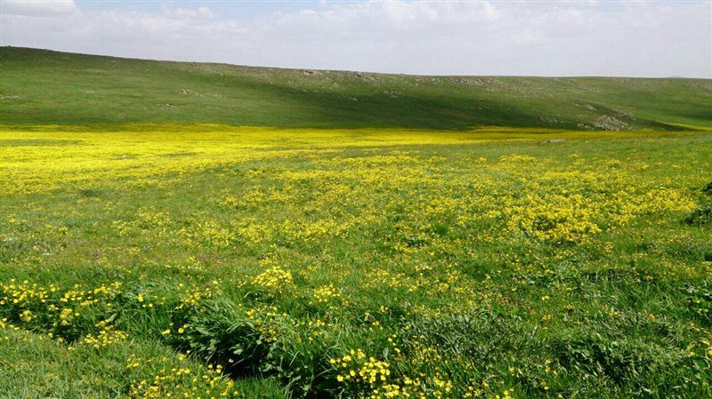 روستای خشکناب روستای خشکناب