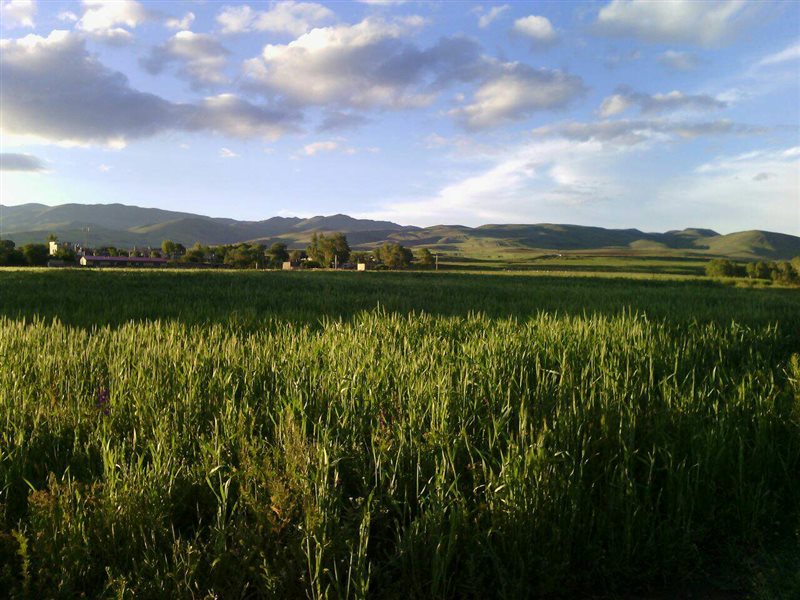 روستای خشکناب روستای خشکناب