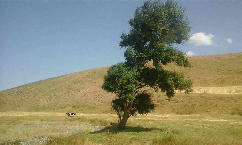 روستای خشکناب روستای خشکناب
