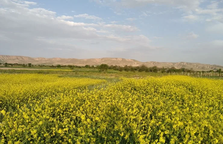 جاهای دیدنی قوچان جاهای دیدنی قوچان