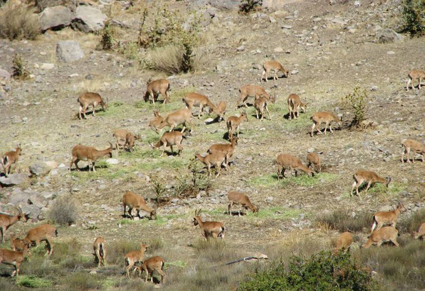 جاهای دیدنی مهدیشهر جاهای دیدنی مهدیشهر