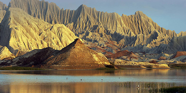 فصل جنوب گردی فصل جنوب گردی