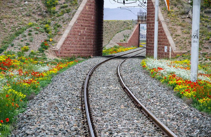 دشت شقایق های جلفا دشت شقایق های جلفا