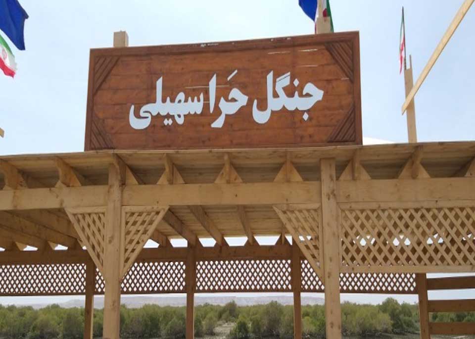 روستای سهیلی قشم