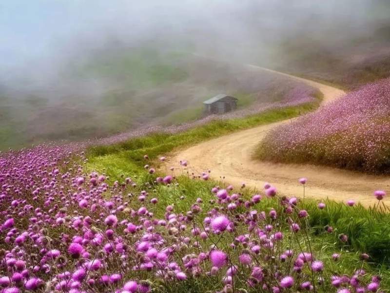 جاهای دیدنی رودبار جاهای دیدنی رودبار