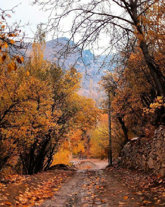 جاهای دیدنی کاشان در پاییز جاهای دیدنی کاشان در پاییز