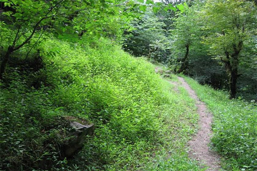 جاهای دیدنی قائمشهر جاهای دیدنی قائمشهر
