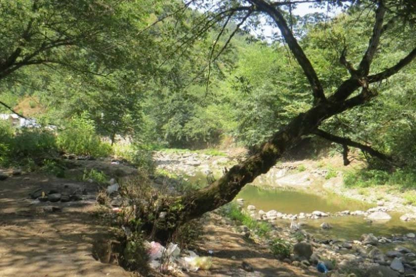 پارک جنگلی خرما