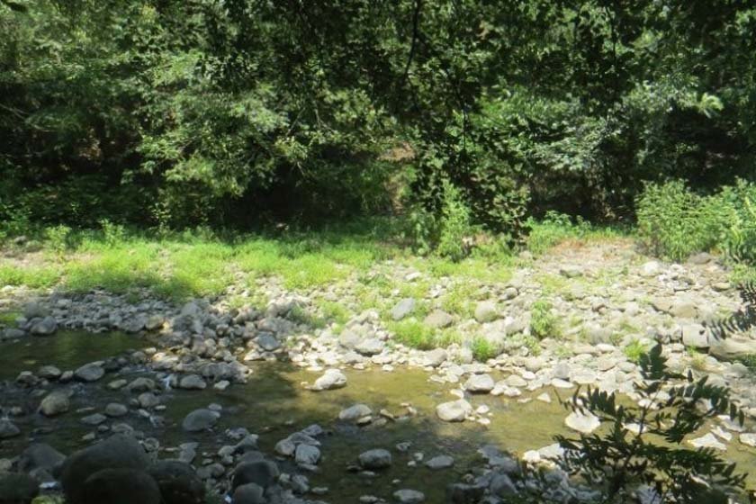 پارک جنگلی خرما