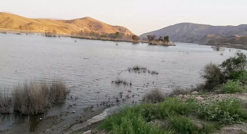 بهترین مکان ها برای ماهیگیری در تهران