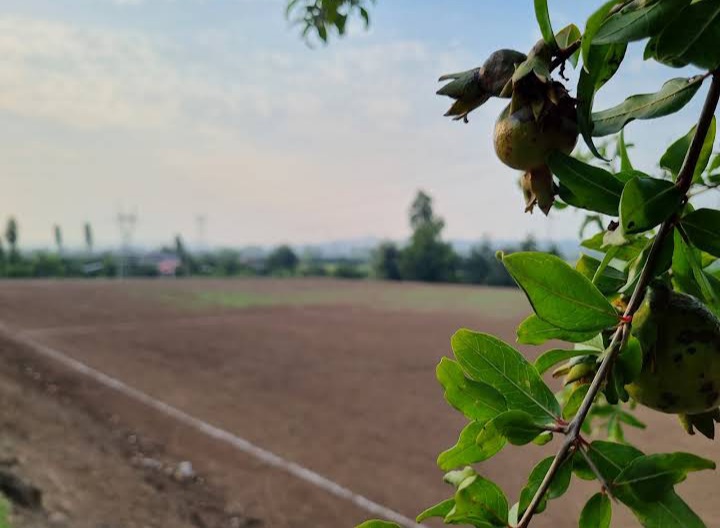 روستای تنهاکلا بابل روستای تنهاکلا بابل
