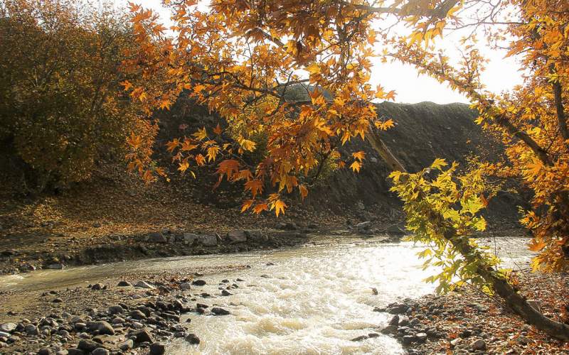 طبیعت پاییزی در جنگل های ارسباران طبیعت پاییزی در جنگل های ارسباران
