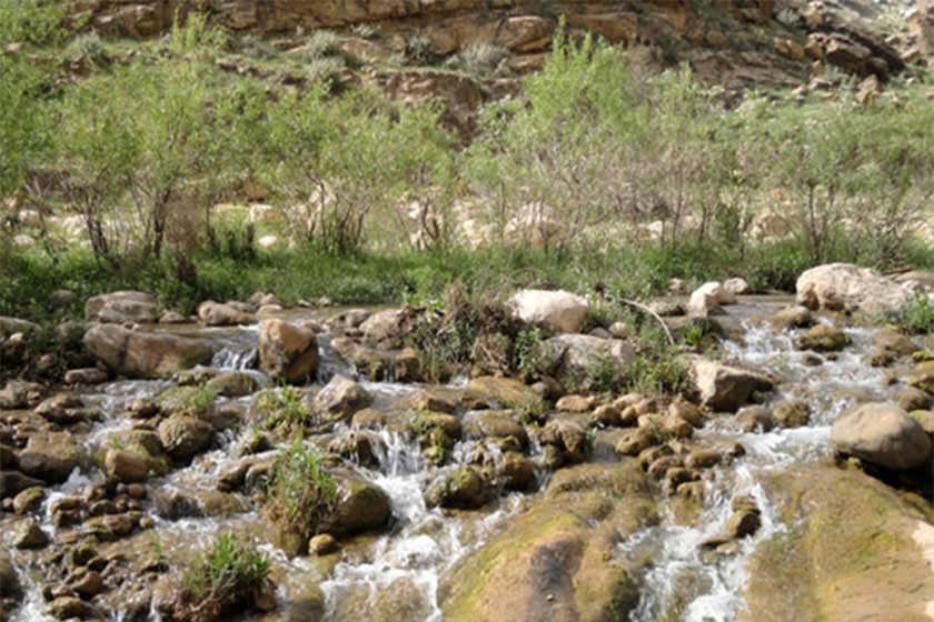 منطقه ییلاقی منگره اندیمشک