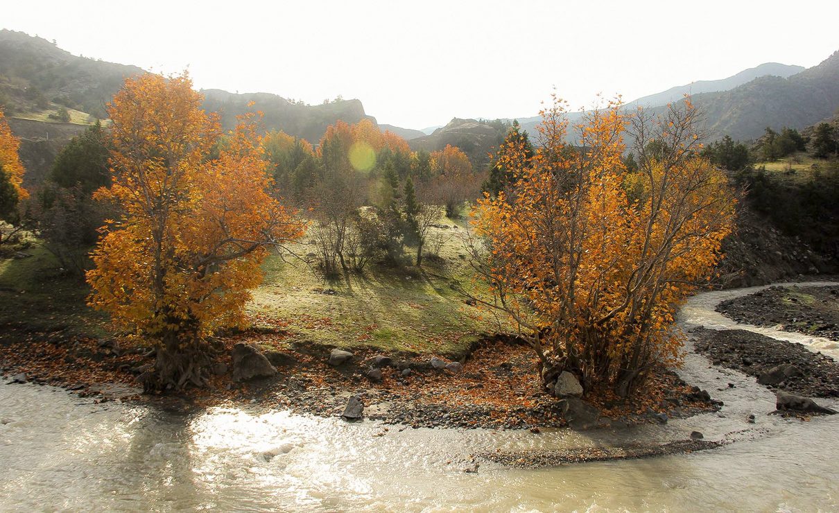 طبیعت پاییزی در جنگل های ارسباران طبیعت پاییزی در جنگل های ارسباران