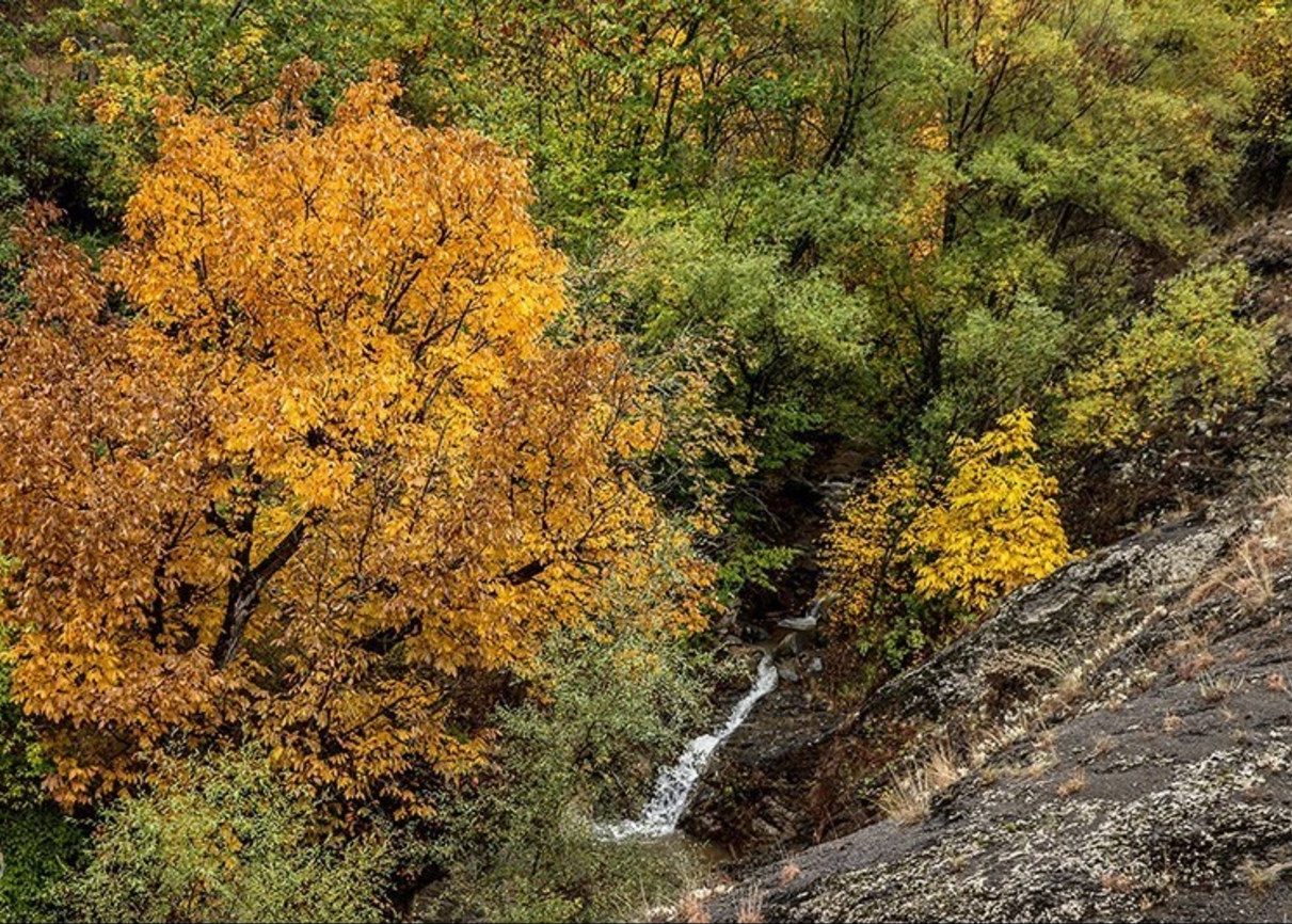 طبیعت پاییزی در جنگل های ارسباران طبیعت پاییزی در جنگل های ارسباران