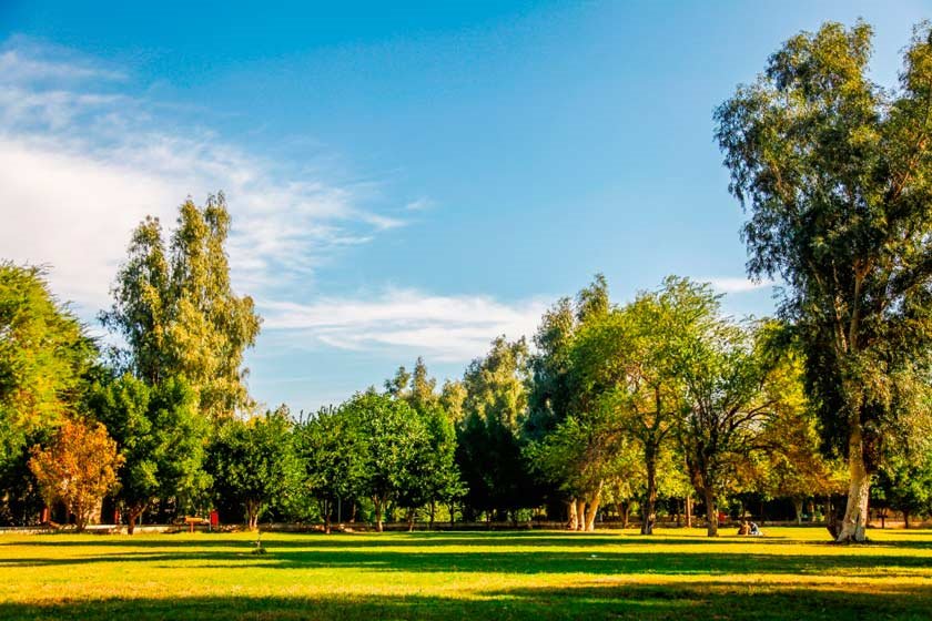 پارک ارم چمران